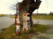 7th Apr 2013 - I wonder which is the oldest the pumps or the tree?...