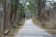 7th Apr 2013 - Nature Trail
