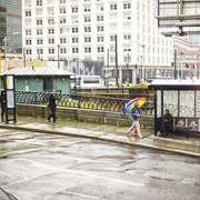 7th Apr 2013 - Spring...Rain...Seattle...