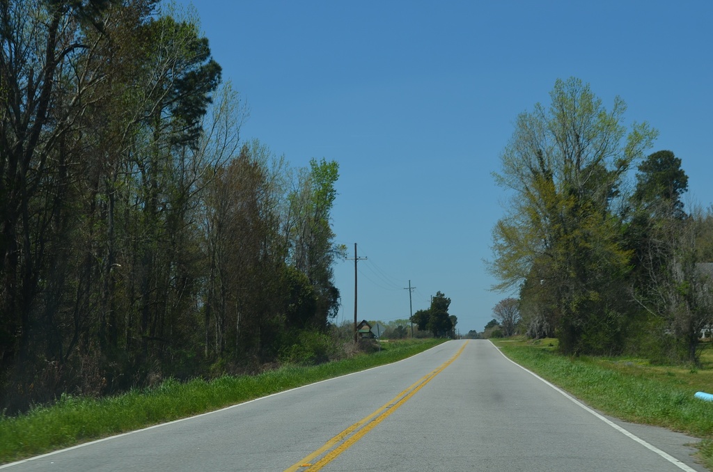 Country road, central South Carolina, 4/6/13 by congaree