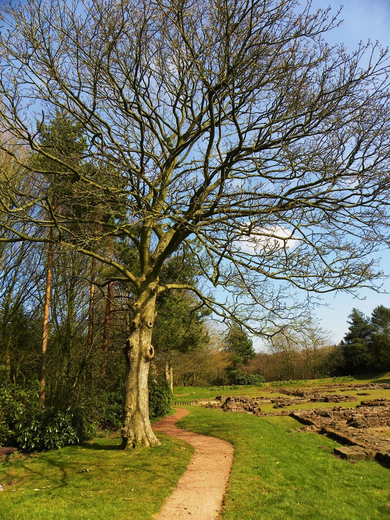 Norton Priory by oldjosh