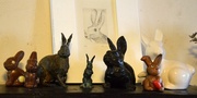 6th Apr 2013 - Rabbits collection