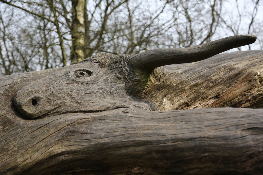 Wood carving in a tree by padlock