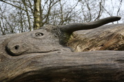 8th Apr 2013 - Wood carving in a tree