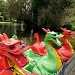Welsh Dragons by rich57