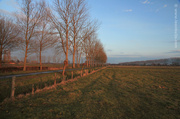 9th Apr 2013 - Landscape of Veghel
