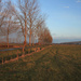 Landscape of Veghel by leonbuys83