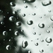 Rain by houser934