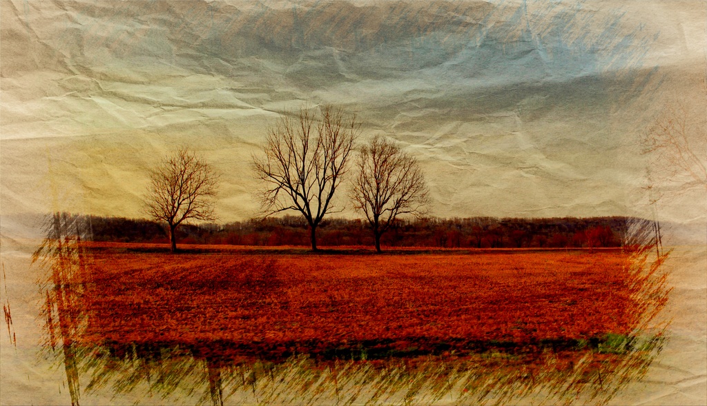 Trees On Crumbled Paper by digitalrn