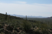 9th Apr 2013 - Sonoran Style Desert