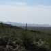 Sonoran Style Desert by kerristephens