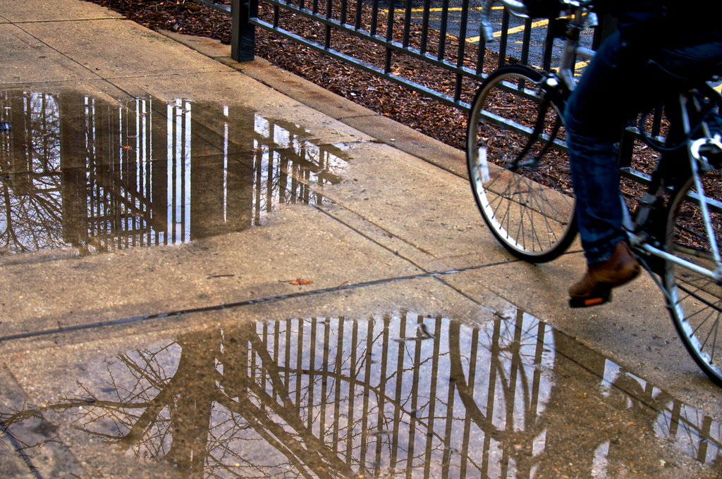 Reflection Puddles by taffy