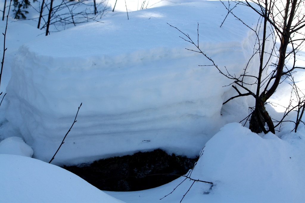 Layers of snow IMG_2739 by annelis