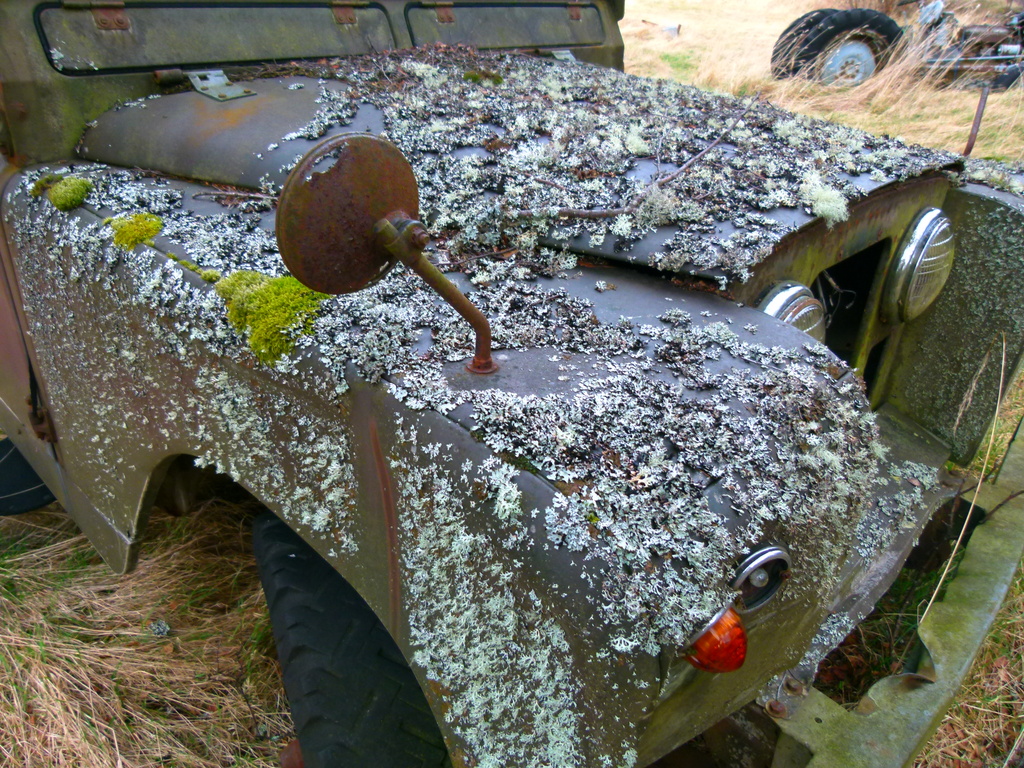 OLD LANDY by markp