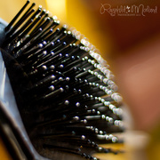 9th Apr 2013 - Hairbrush!