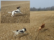 10th Apr 2013 - Hover-Pig: Third & Forth Attempt