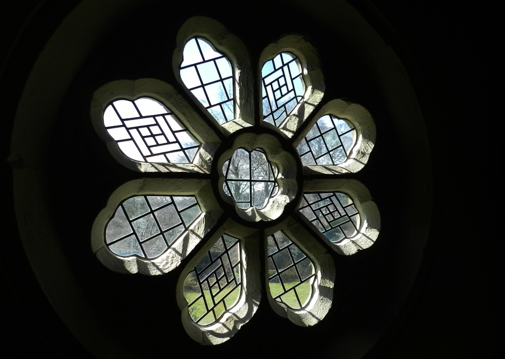 Rose window by roachling