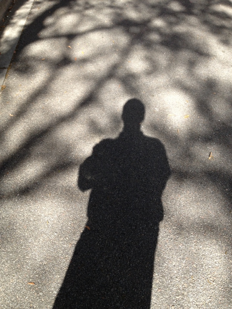 My shadow by congaree