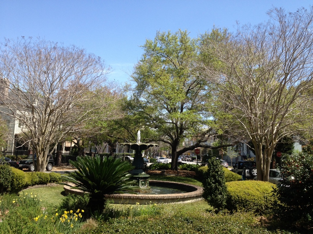 Chapel Street Park, Charleston, SC by congaree