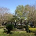 Chapel Street Park, Charleston, SC by congaree