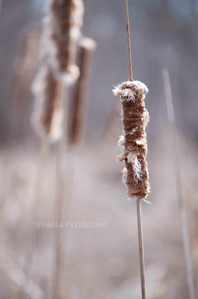 i sat on the edge... by earthbeone