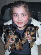 9th Apr 2013 - Livvy with puppies :-)