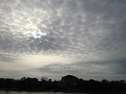 11th Apr 2013 - Skies over Colonial Lake, Charleston, SC