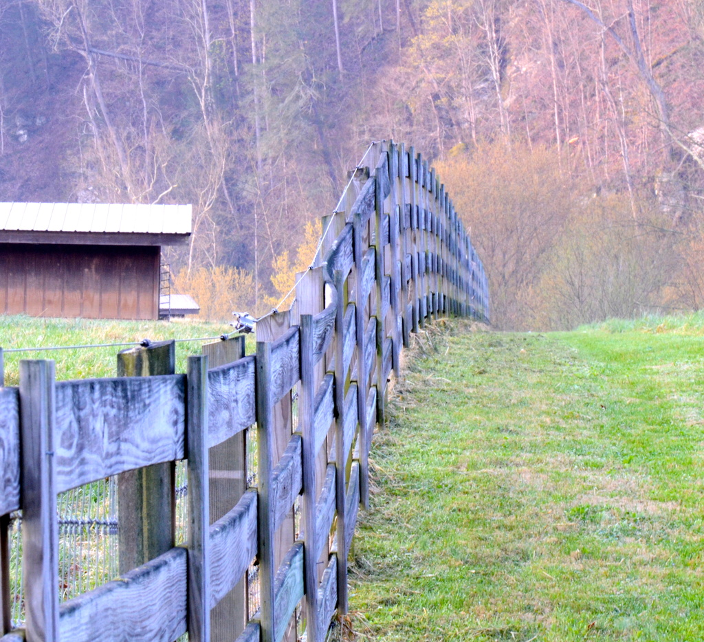 Fence line in Spring by kathyladley