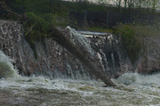 11th Apr 2013 - Tumwater Falls