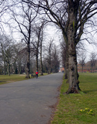 11th Apr 2013 - Vernon Park Path