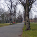 Vernon Park Path by phil_howcroft