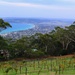 Arthurs Seat  by pictureme