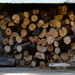 Wood Pile by salza