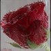 Rose Red by craftymeg