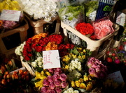 12th Apr 2013 - Flower stall at Ludlow market...