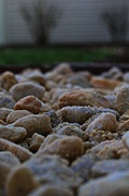 13th Apr 2013 - Pond Stones