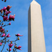 NOT Washington Monument by alophoto