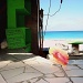 Bimini Beach Sign and Shell by stownsend