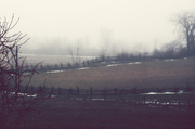 13th Apr 2013 - foggy field