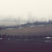 foggy field by edie