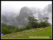 14th Apr 2013 - Machu Picchu