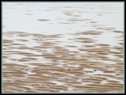 14th Apr 2013 - Not your typical beach shot!