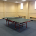 Standard table tennis table by manek43509