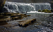14th Apr 2013 - Deryshire Waterfall