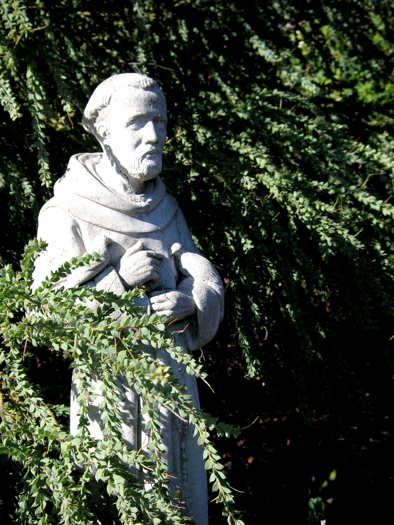 St Francis in The Garden by pasadenarose