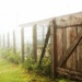 Fence and Fog  by carrapeta00