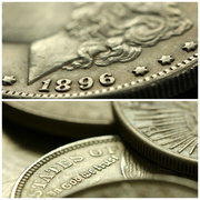 15th Apr 2013 - Silver dollars