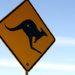 Beware of Kangaroos by nicolecampbell