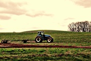 16th Apr 2013 - Preparing The Soil