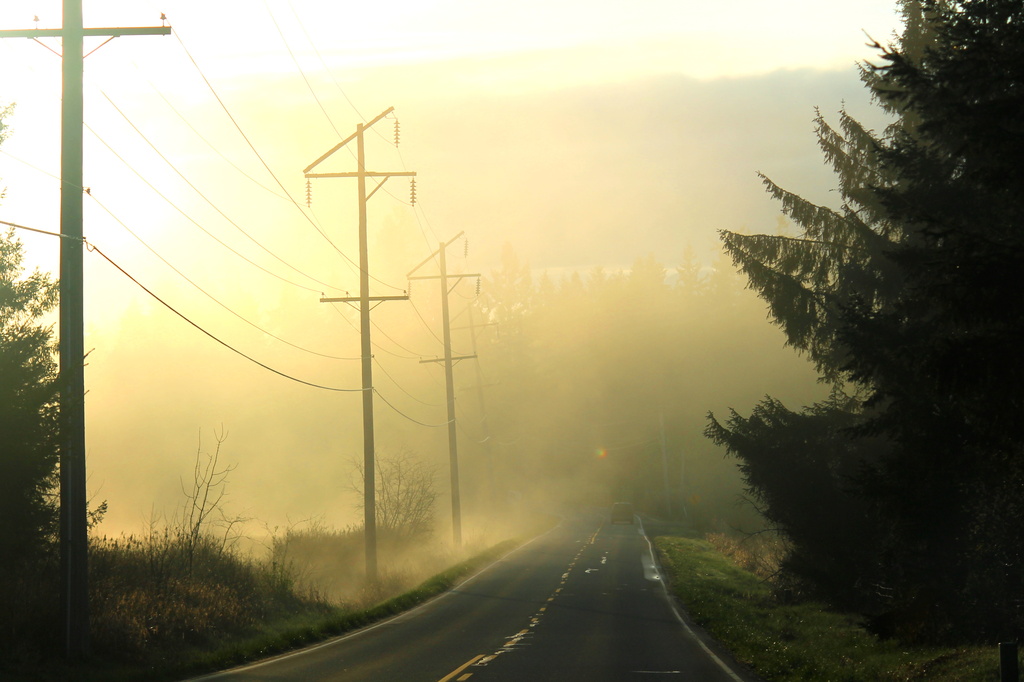 Sunrise, fog, lonesome road. by jankoos